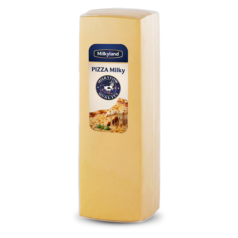 Pizza blok 2,7 kg